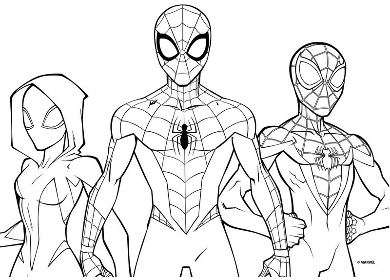 Оцветителен Комплект Куфарче С ДръжкаС Шаблони Стикери С Албум Спирален Блок А4 И Много Маркери ПастелиВодни Боички Четки И Т.Н. Спайдермен54Х47Х3