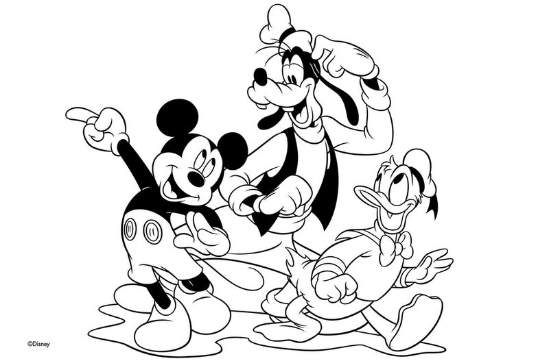 Рисувателен Блок А4 Със Спирала С Шаблони С ЛинияСтикери И Оцветителни Страници 40 Стр. 33Х23 Мики МаусДва Вида