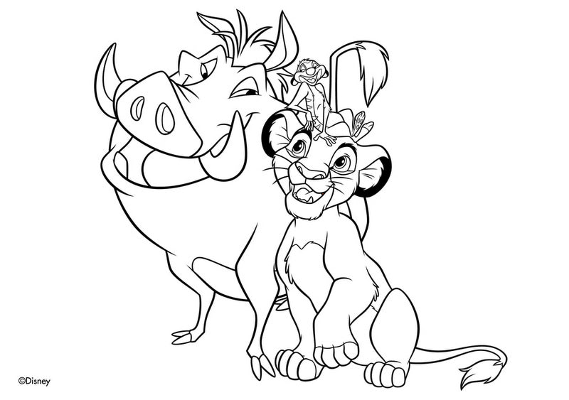 Рисувателен Блок А4 Със Спирала С Шаблони С ЛинияСтикери И Оцветителни Страници 40 Стр. 33Х23 Цар ЛъвДва Вида