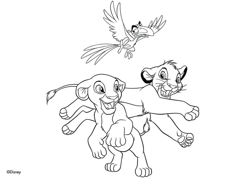 Рисувателен Блок А4 Със Спирала С Шаблони С ЛинияСтикери И Оцветителни Страници 40 Стр. 33Х23 Цар ЛъвДва Вида