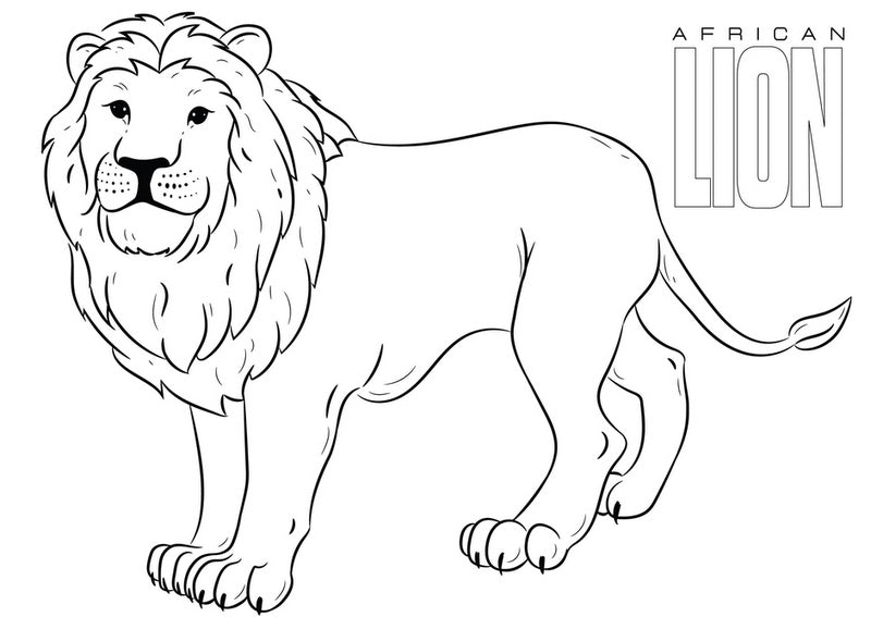 Рисувателен Блок А4 Със Спирала С Шаблони С ЛинияСтикери И Оцветителни Страници 40 Стр. 33Х23 Анимал Планет Двулицев