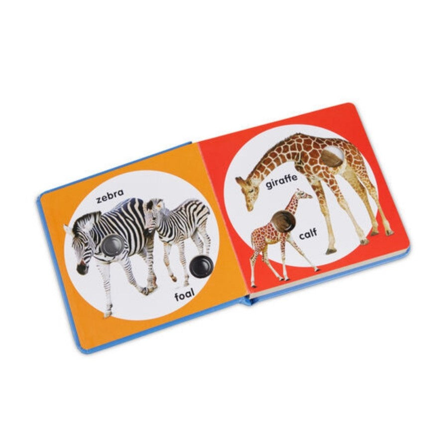 Carte cu nasturi pentru familii de animale sălbatice
