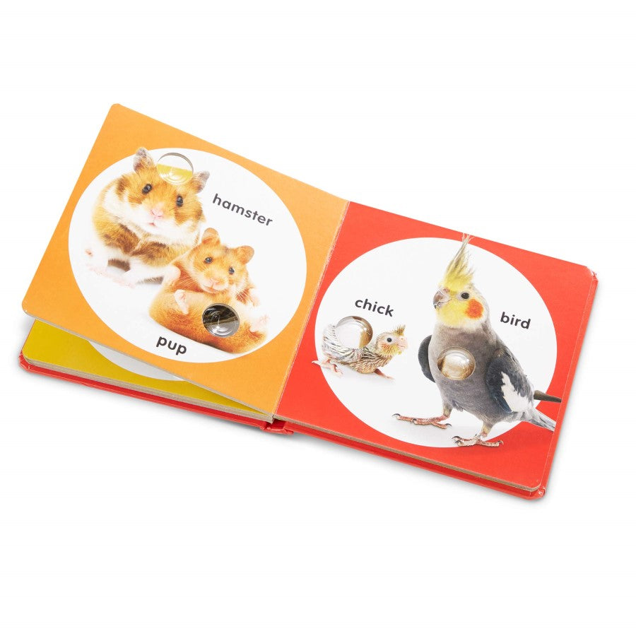 Puzzle magnetic la fermă