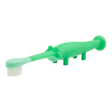 Periuță de dinți și gingii de crocodil