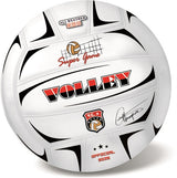 Топка Волейбол Шампиони21 См 250 Гр