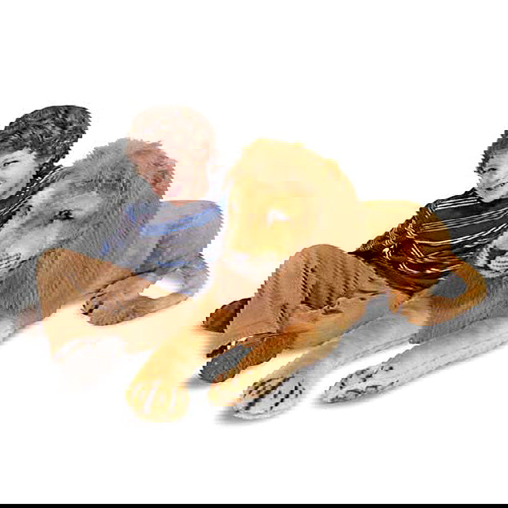 12102 Плюшен Лъв --- BebeMama