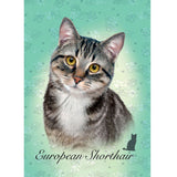 18808 Пъзел 100 Ел. Европейска Късокосместа --- BebeMama