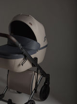 Бебешка Количка 2в1 E Type Eden Special Edition Anex