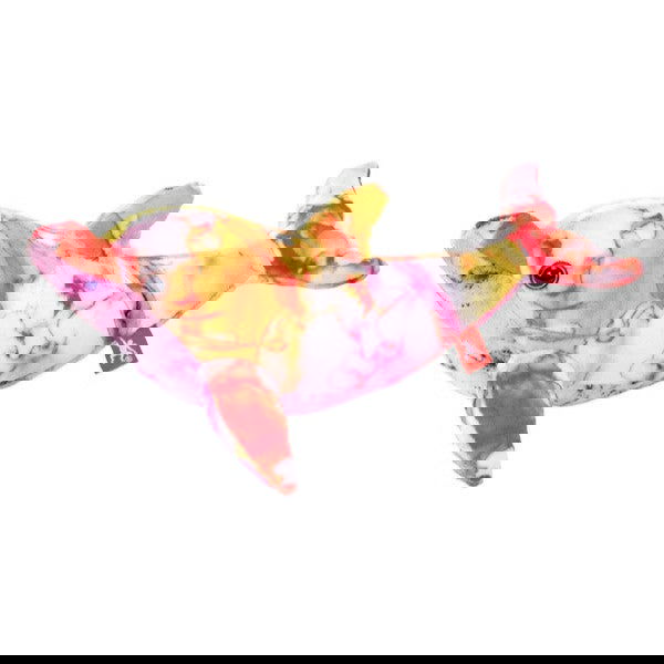 27399 Делфин --- BebeMama