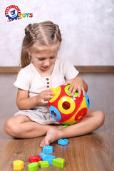 Сфера За Сортиране С 8 Елемента 19Х19Х19 См