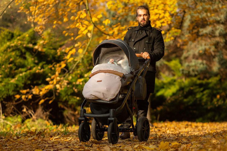 2В1 Количка Frontera Onyx --- BebeMama