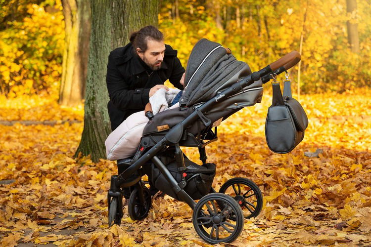 2В1 Количка Frontera Onyx --- BebeMama