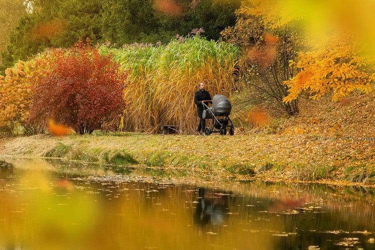 2В1 Количка Frontera Silver --- BebeMama