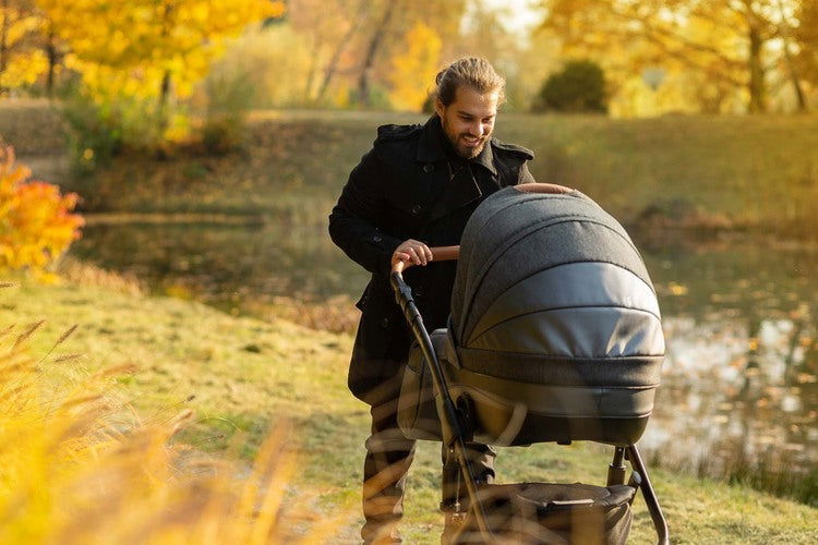 2В1 Количка Frontera Silver --- BebeMama