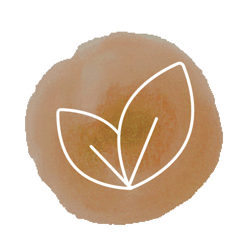 Saltea organică 60x120x12cm Candide