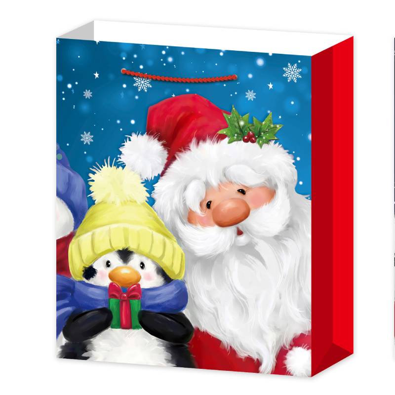 M 3d Торбичка Дядо Коледа С Пингвинче Raya Toys