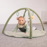 Fillikid Animal Friends Sală de sport activă și arc de jucării - Salvie