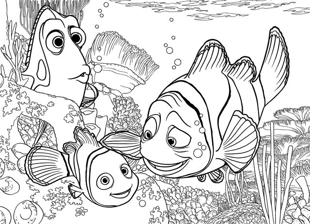 Puzzle 24H. Nemo DF Supermaxi