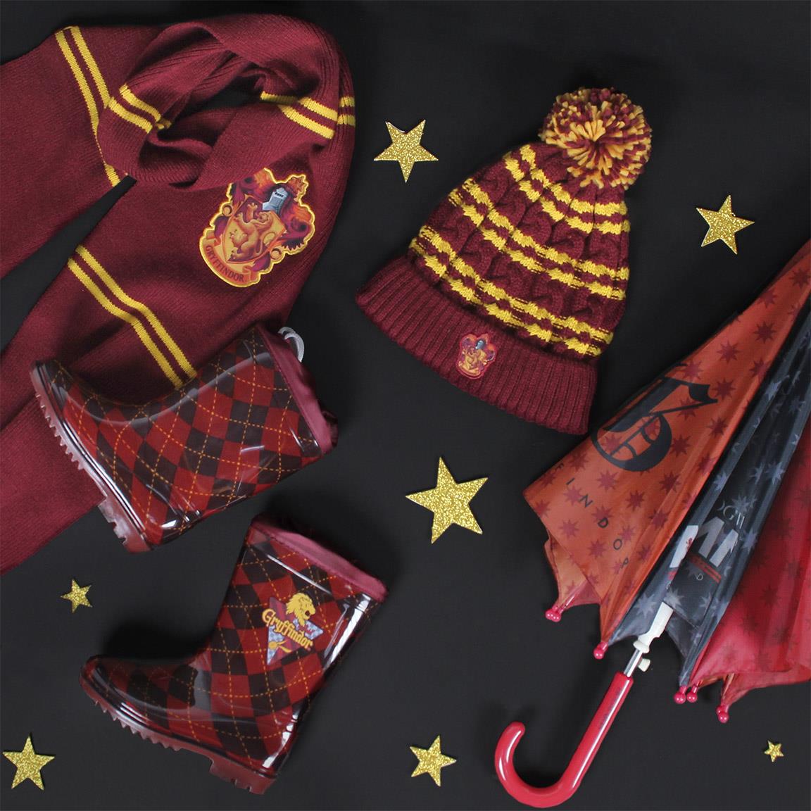 Гумени Ботуши Harry Potter N 27 Cerda