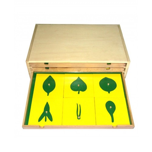 Дървен Ботанически И Биологически Шкаф - Дървени Играчки - Smartbaby - BebeMama