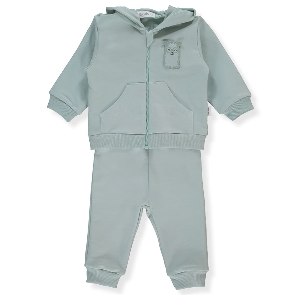 Trening cu glugă K4616, verde, cu imprimeu Lama drăguț, 9-12M/80Cm