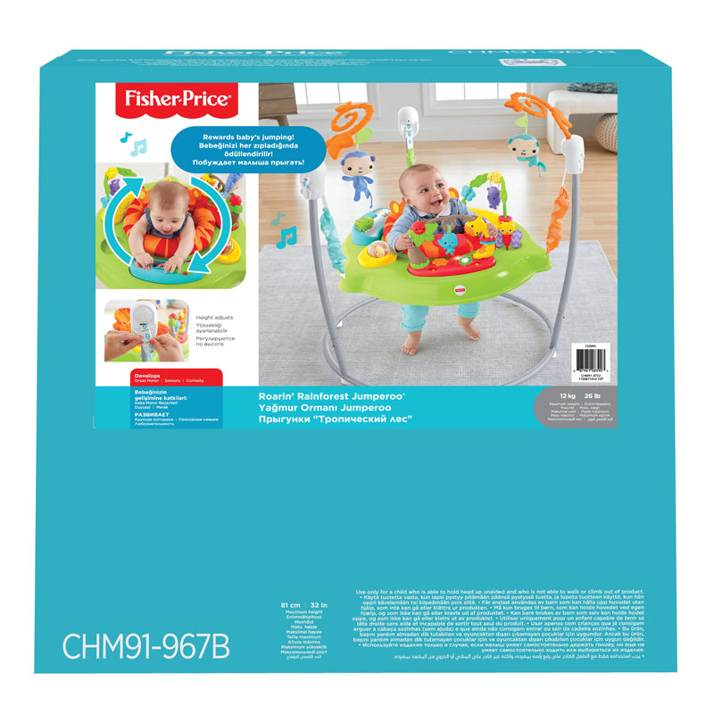 Fisher Price Bungee Rainforest