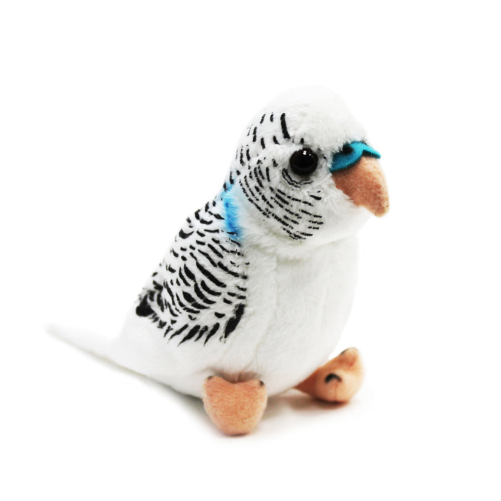 Бял Вълнист Папагал 13См