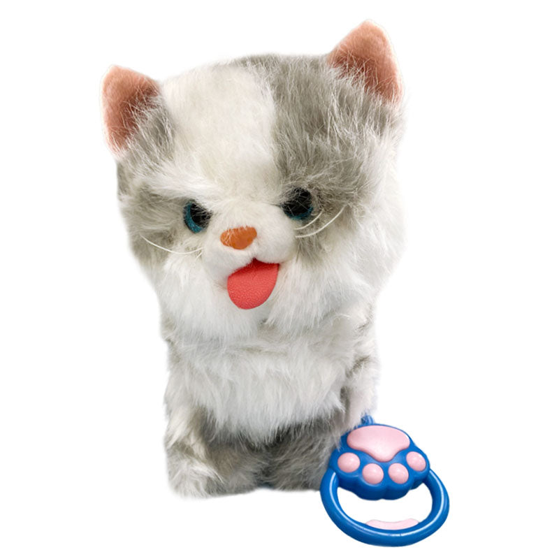 Ходещо Коте С Каишка