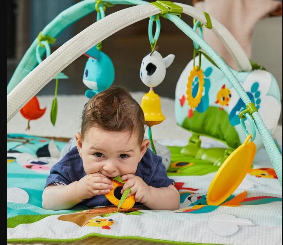 Активна Гимнастика Gymini Kick&Play Farm --- BebeMama