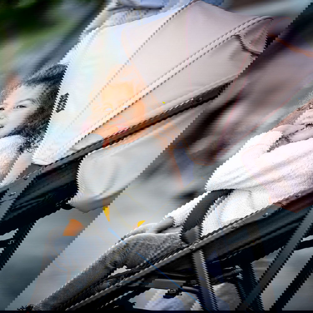 Kоличка Rapid 4R Plus Rose --- BebeMama