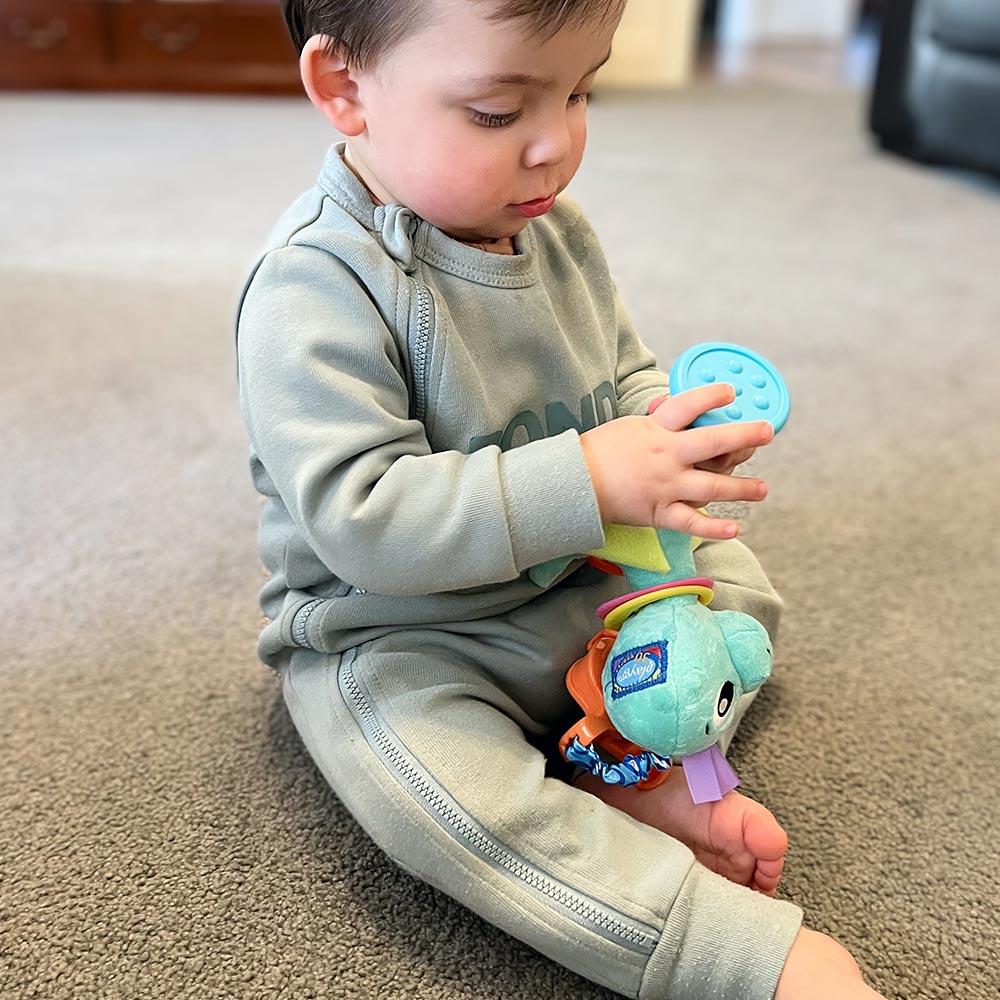 Висяща Играчка Динозавър Дени 0м+ Playgro