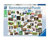Ravensburger - Пъзел 1500 Ел. - Забавни Животни --- BebeMama