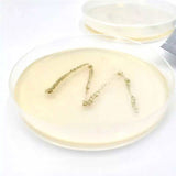 Steam Комплект - Аз Съм Детектив --- BebeMama