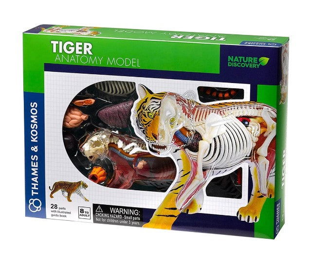 Thames&Kosmos - Анатомичен Модел На Тигър --- BebeMama