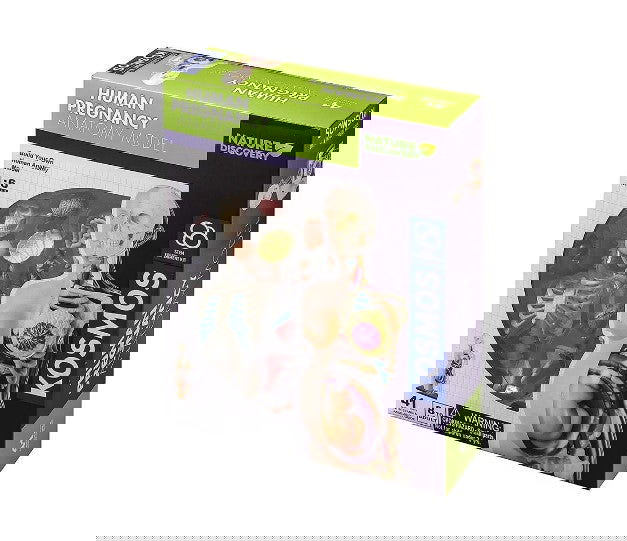 Thames&Kosmos - Анатомичен Модел На Човешката Бременност --- BebeMama