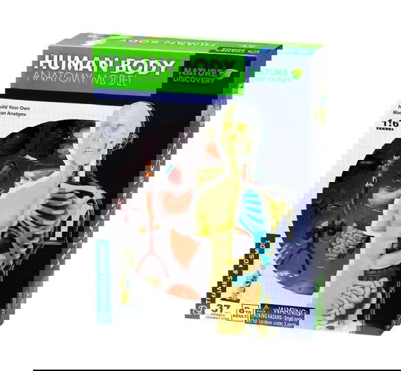 Thames&Kosmos - Анатомичен Модел На Човешкото Тяло --- BebeMama