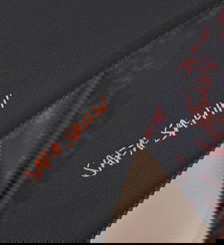 Anex-Бебешка Количка 2В1 M/Type Pro Safa Sahin --- BebeMama