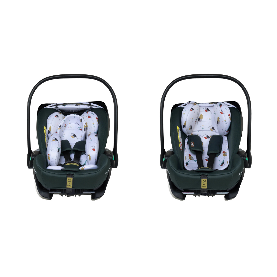 Ct6082 Acorn Recline Столче За Кола 0+ Bureau Cosatto
