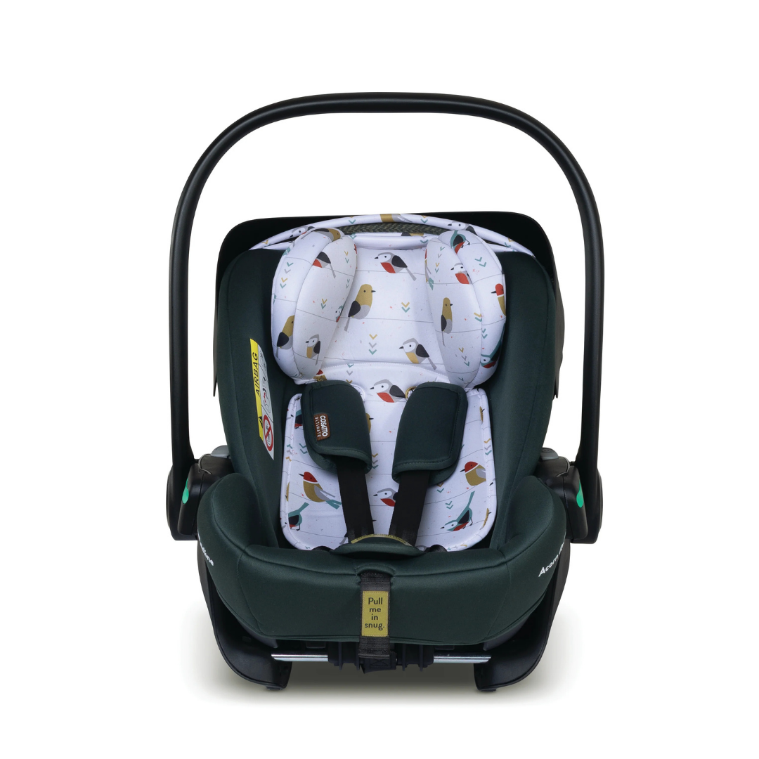 Ct6082 Acorn Recline Столче За Кола 0+ Bureau Cosatto