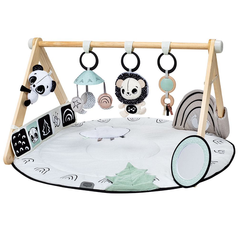 Активна Гимнастика Luxe Gymini Black&white Decor, 0м+ Tiny Love