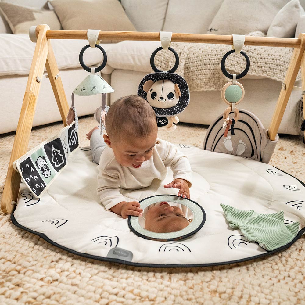 Активна Гимнастика Luxe Gymini Black&white Decor, 0м+ Tiny Love