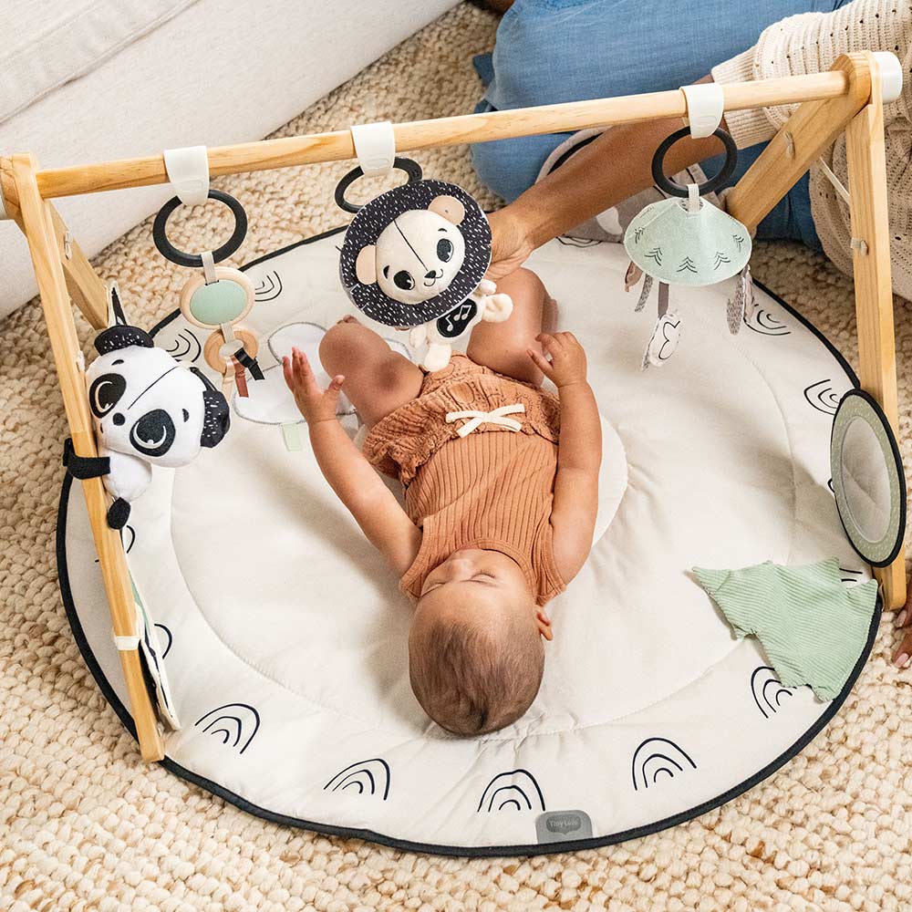 Активна Гимнастика Luxe Gymini Black&white Decor, 0м+ Tiny Love