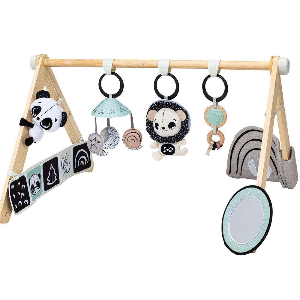 Активна Гимнастика Luxe Gymini Black&white Decor, 0м+ Tiny Love