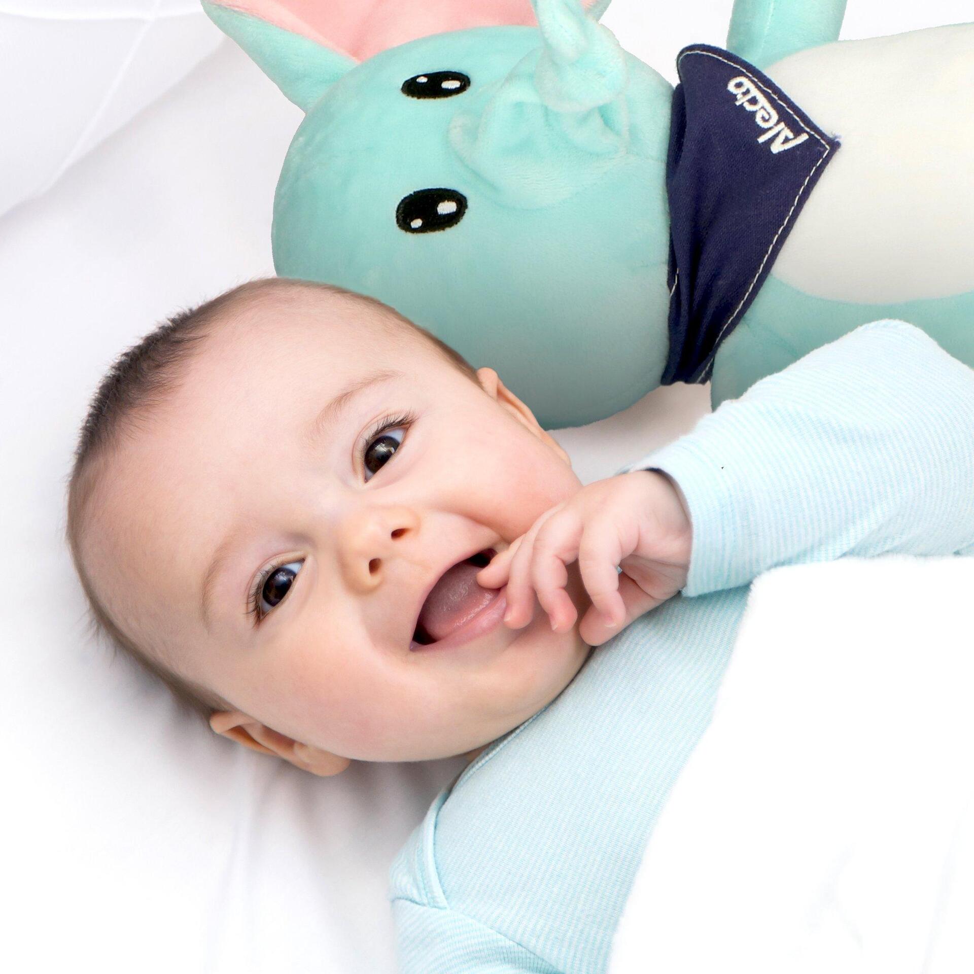 Плюшена Играчка Elephant С Мелодии И Светлина Bc350 Alecto