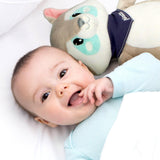 Плюшена Играчка Raccoon С Мелодии И Светлина Bc351 Alecto