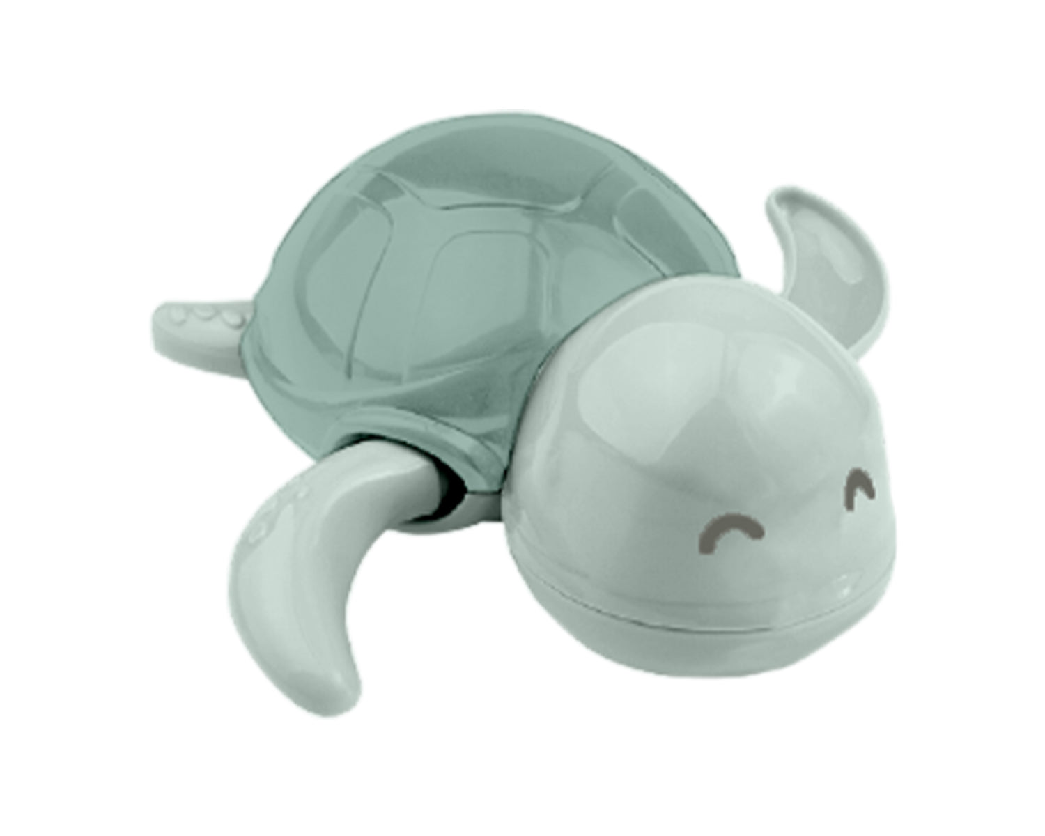 termometrul de apă Buddy Mint