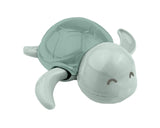 termometrul de apă Buddy Mint