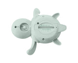 termometrul de apă Buddy Mint