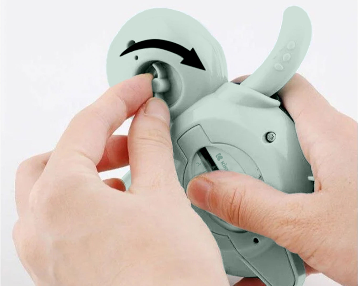 termometrul de apă Buddy Mint