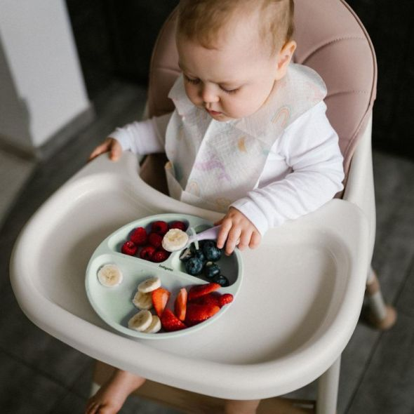 03 Szilikon tányér tapadókoronggal Menta Babyono
